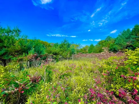 tbd Plainview Dr, River Falls, WI 54022 photo 6