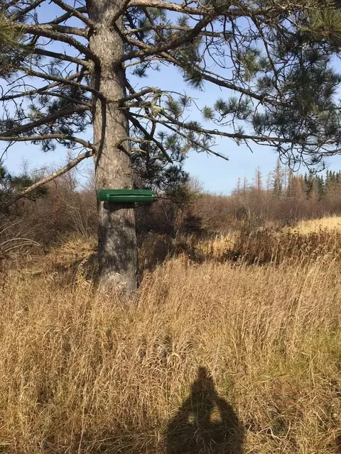 6501 Highway 169, Tower, MN 55790 photo 10