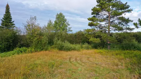 6501 Highway 169, Tower, MN 55790 photo 3