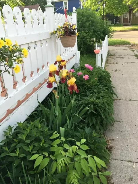Exterior - 107 E 5th St, Morris, MN 56267 photo 11 of 14
