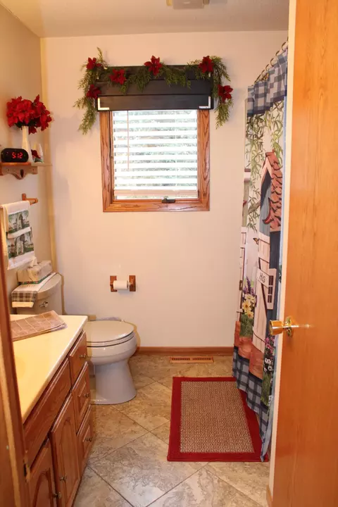 Bath - 20366 470th Ave, Morris, MN 56267 photo 3 of 5
