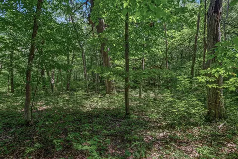 25 Nnn Itasca Ave, Forest Lake, MN 55025