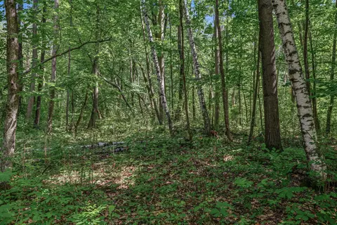 25179 Itasca Ave, Forest Lake, MN 55025