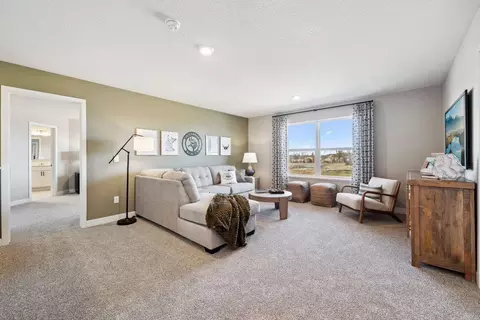 3971 Founders Path, Chaska, MN 55318 photo 13