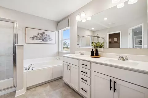 3971 Founders Path, Chaska, MN 55318 photo 15