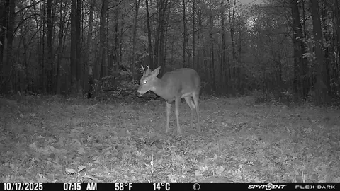 tbd 315th Ave, Laporte, MN 56461 photo 30