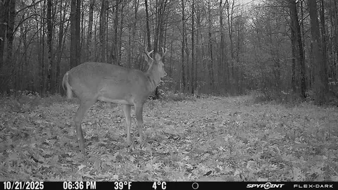 tbd 315th Ave, Laporte, MN 56461 photo 27