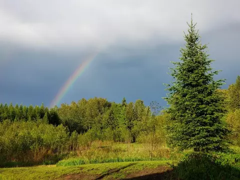 Other - 232 Scenic Estates Dr, Bigfork, MN 56628 photo 13 of 15