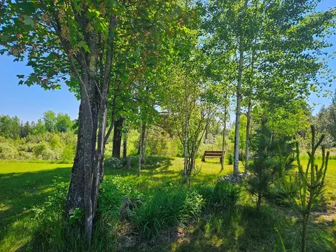 Exterior - 232 Scenic Estates Dr, Bigfork, MN 56628 photo 7 of 36