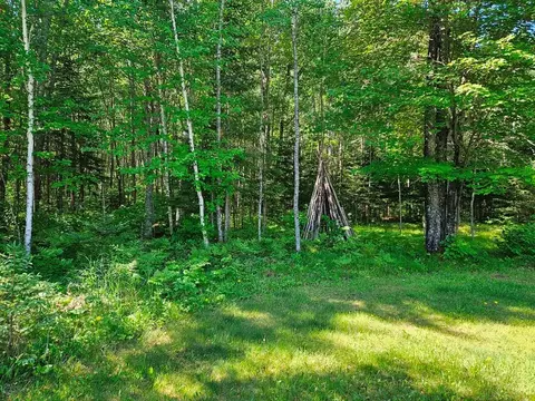 Exterior - 232 Scenic Estates Dr, Bigfork, MN 56628 photo 20 of 36