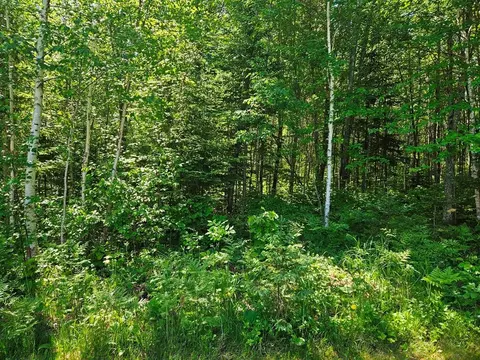 Exterior - 232 Scenic Estates Dr, Bigfork, MN 56628 photo 21 of 36