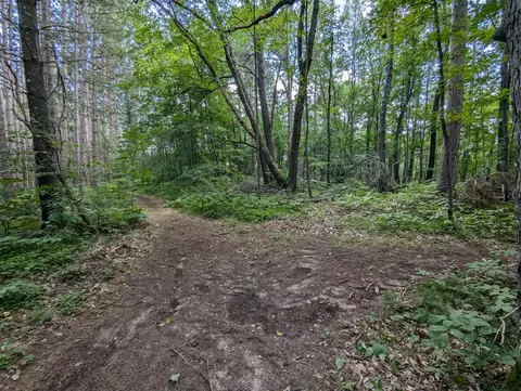 lot2 Fosmo, Webster, WI 54893