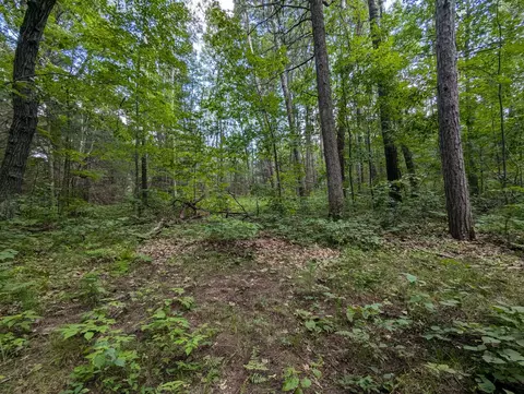lot3 Fosmo, Webster, WI 54893