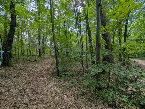 lot4 Fosmo, Webster, WI 54893