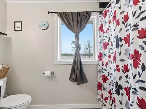 Bath - 3775 32nd St SW, Pine River, MN 56474 photo 3 of 4
