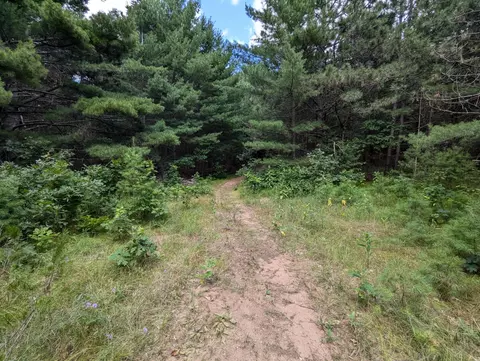 lot5 Fosmo, Webster, WI 54893