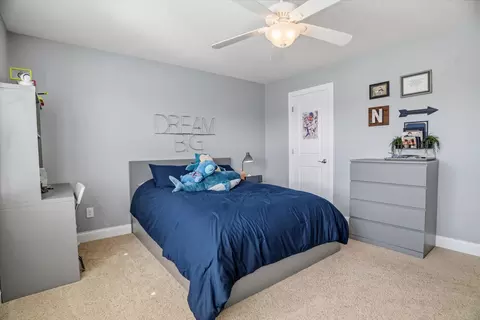 3915 Founders Path, Chaska, MN 55318 photo 28
