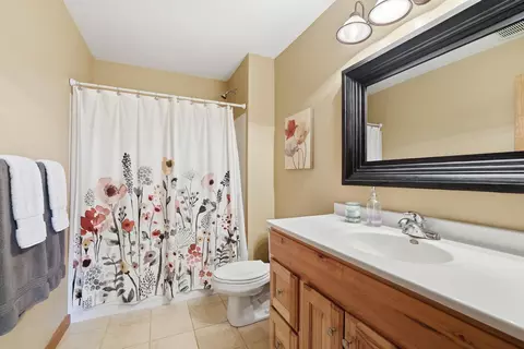 Bath - 68836 215th St, Darwin, MN 55324 photo 5 of 5