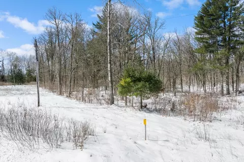 tbd Variety Lake Dr NW, Hackensack, MN 56452 photo 3