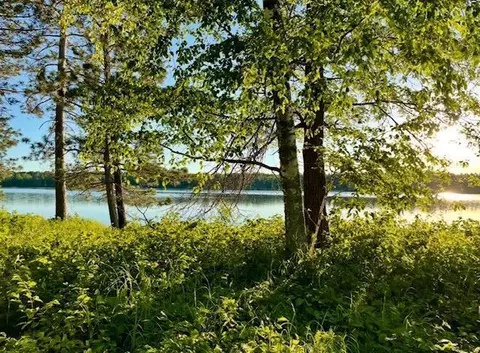 tbd Variety Lake Dr NW, Hackensack, MN 56452 photo 2