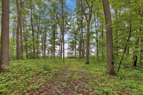 8991 Red Oak Dr, Garrison, MN 56450 photo 4