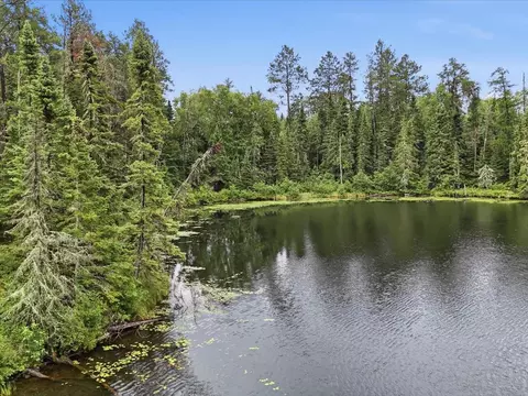 3 Nnn County Road 904, Babbitt, MN 55706 photo 24