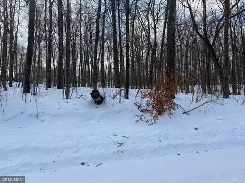 tbd 193rd Ave, Mcgregor, MN 55760 photo 3