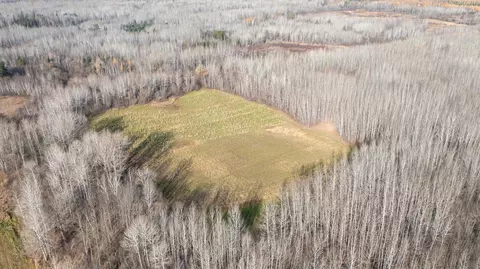 11680 County 59 Rd, Orr, MN 55771