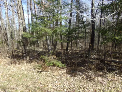 tbd Goshawk St, Mcgregor, MN 55760 photo 4