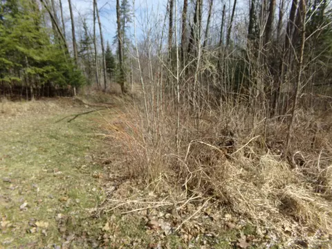tbd Goshawk St, Mcgregor, MN 55760 photo 8
