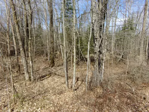tbd Goshawk St, Mcgregor, MN 55760 photo 10