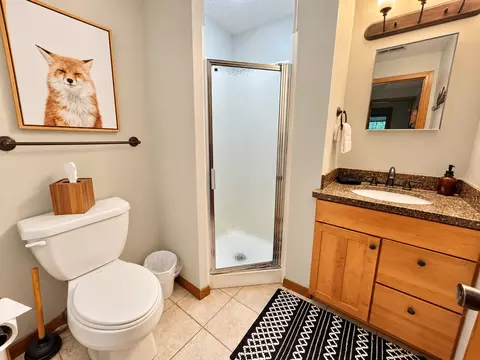 Bath - 511 Moose Mountain Dr, Tofte, MN 55615 photo 2 of 2