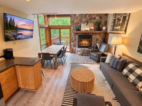 Living - 511 Moose Mountain Dr, Tofte, MN 55615 photo 4 of 5