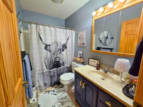Bath - 2337 Webb Forest Ct NW, Hackensack, MN 56452 photo 1 of 2