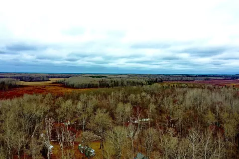 61613 Park Hills Rd, Bruno, MN 55712