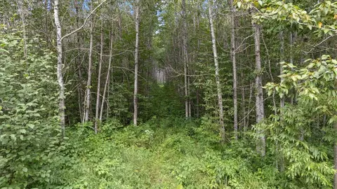 9401 Samuelson Rd, Alango Twp, MN 55703 photo 20