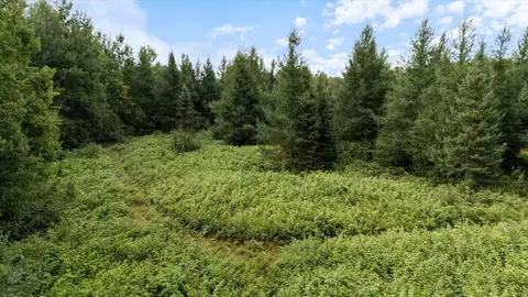 9401 Samuelson Rd, Alango Twp, MN 55703 photo 14