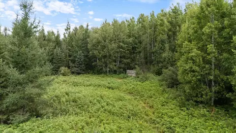 9401 Samuelson Rd, Alango Twp, MN 55703 photo 10