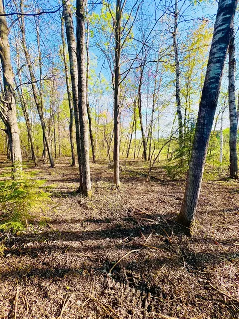tbd Mallard Pl, Sandstone, MN 55072