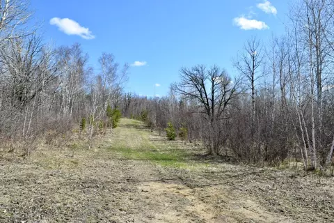Other - 38922 County 45, Laporte, MN 56461 photo 7 of 17