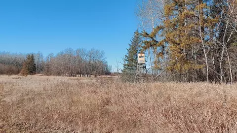 Other - 10478 Leander Rd, Angora, MN 55703 photo 13 of 15