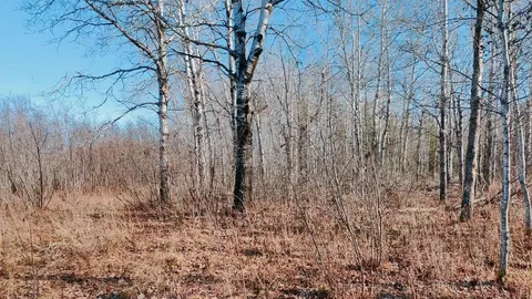 Other - 10478 Leander Rd, Angora, MN 55703 photo 11 of 15