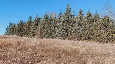 Other - 10478 Leander Rd, Angora, MN 55703 photo 10 of 15