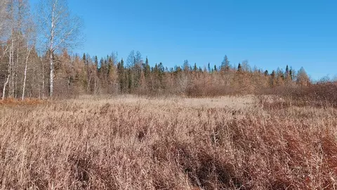 Other - 10478 Leander Rd, Angora, MN 55703 photo 9 of 15