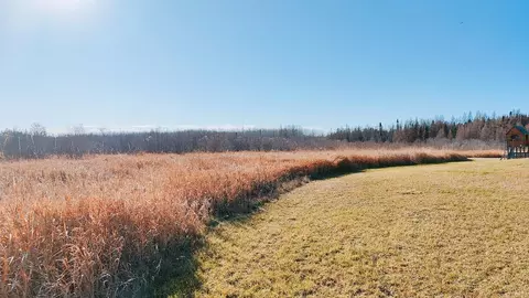 Other - 10478 Leander Rd, Angora, MN 55703 photo 14 of 15