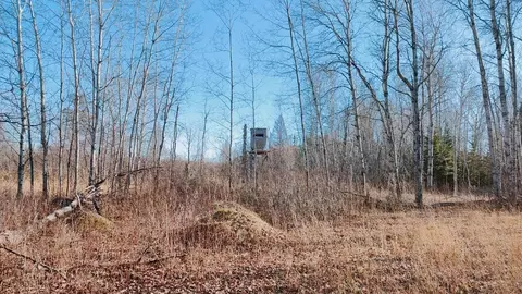 Exterior - 10478 Leander Rd, Angora, MN 55703 photo 9 of 9
