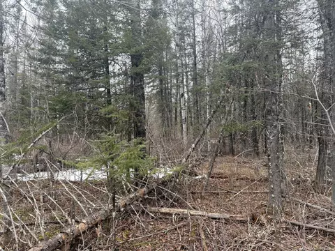 tbd Three Bridges Rd, Cook, MN 55723 photo 33