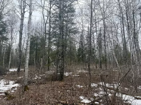 tbd Three Bridges Rd, Cook, MN 55723 photo 38