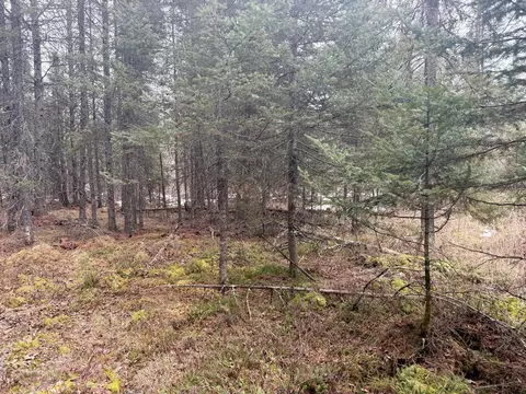 tbd Three Bridges Rd, Cook, MN 55723 photo 31