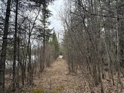 tbd Three Bridges Rd, Cook, MN 55723 photo 44
